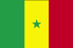 塞内加尔旗子