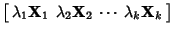 $\displaystyle \left[\begin{array}{cccc}\lambda_1{\bf X}_1 & \lambda_2{\bf X}_2 & \cdots & \lambda_k{\bf X}_k\end{array}\right]$