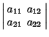 $\displaystyle \left\vert\begin{array}{cc}a_{11} & a_{12}\\  a_{21} & a_{22}\end{array}\right\vert$