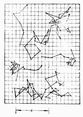 �����˶�