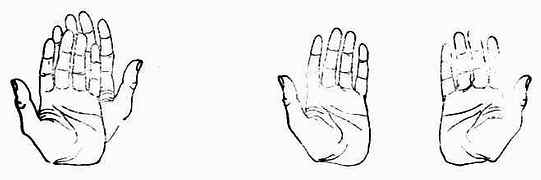 �������ֲ����غ� ���ֵľ���������