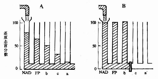 ���ִ�����ı�׼������ԭ��λ