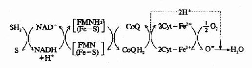 ���������ȶ�ʱ���ִ�����Ļ�ԭ̫����