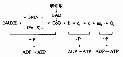 ż����λʾ��ͼ