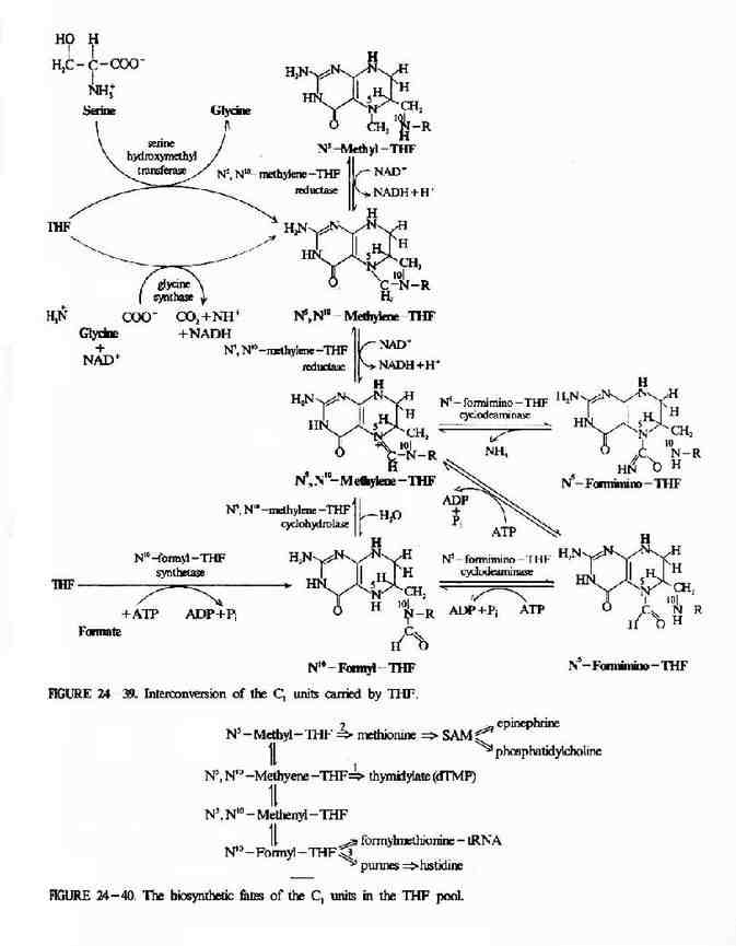 һ̼��λ���໥ת��