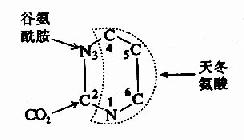 ��ऻ��ϳɵ�ԭ����Դ