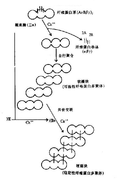 ��ά�ص�������������