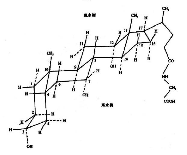 �ʰ���������幹��