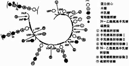 ����������A�ĺϳ�ʾ��