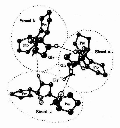 ��ԭ����������������C��ͶӰͼ