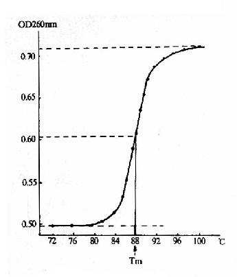 ����Ľ�������