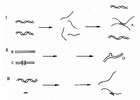 �����ӽ�����Ӧ��ʾ��ͼ