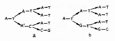 �����ʵ�ϡ�л�������������