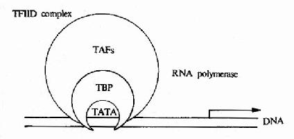 ת����ʼ�������ģʽ