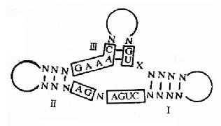 ��ͷ�ṹģʽͼ