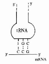 �����Ӻͷ������ӵ��໥����